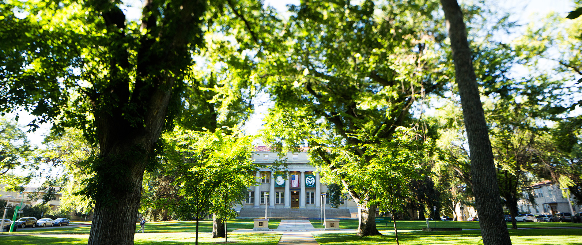 Colorado-State-University-online-IT-degree-program