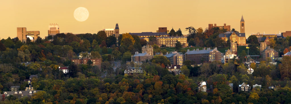 University-Summer-College